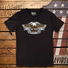 Harley Davidson, moto, bike, biker, мото, байк